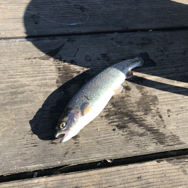 あひるさんさんのカバー写真