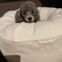 交渉中につき一旦募集停止します