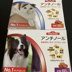 「てっちゃん、色々忙しい休日」サムネイル3