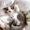 うちに来た次の日