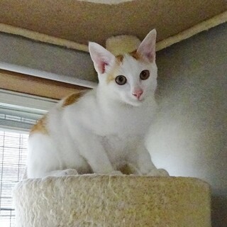 覗き見大好きなスリムな男の子