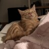 可愛い添い寝