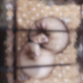 ありがとうございました。