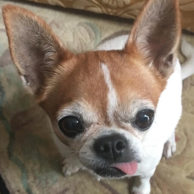 Finiのカバー写真