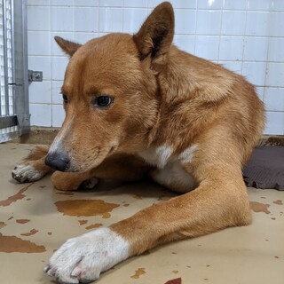 収容期限は1週間しかないです