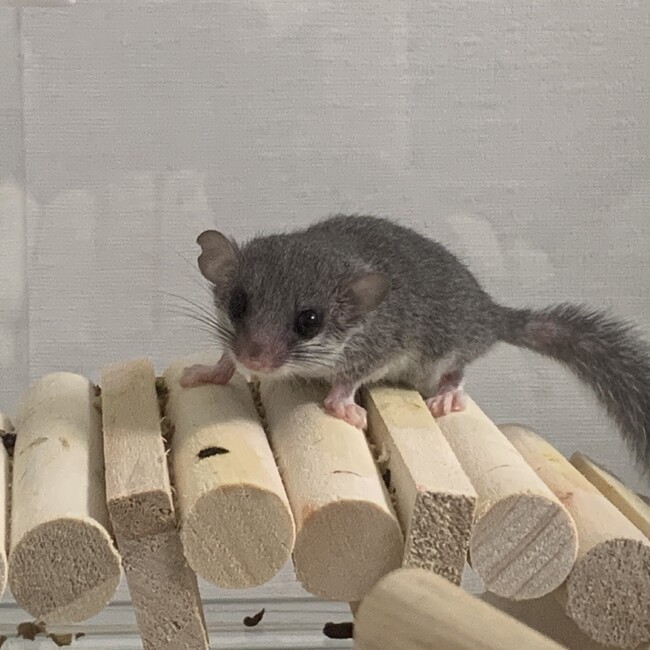 LUNAるなのカバー写真