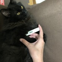 まだら