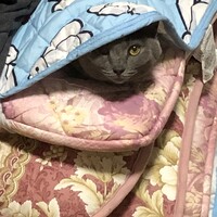 りょー