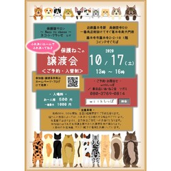 ほご猫の譲渡会