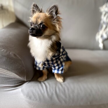 心都（コト）の写真