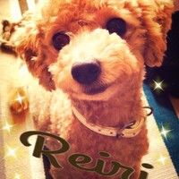Reiri