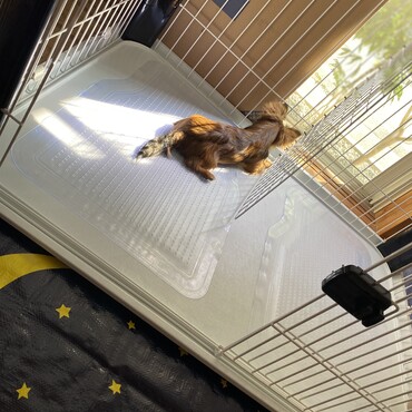 ouTside view,,  he enjoys it..