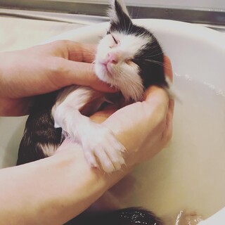 ぽっけ♡家族ができました