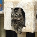 急募です（；_；）
