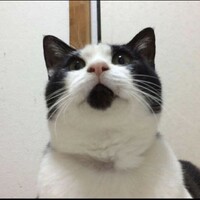 バーボン