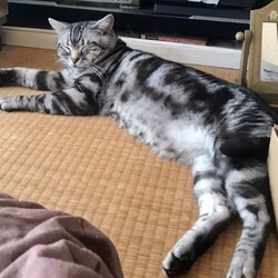 ฅ2ndฅLife◞特別編⑩