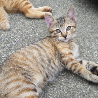 7月26日生まれの女の子です。