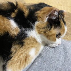 元気なってきた