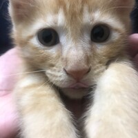 そら