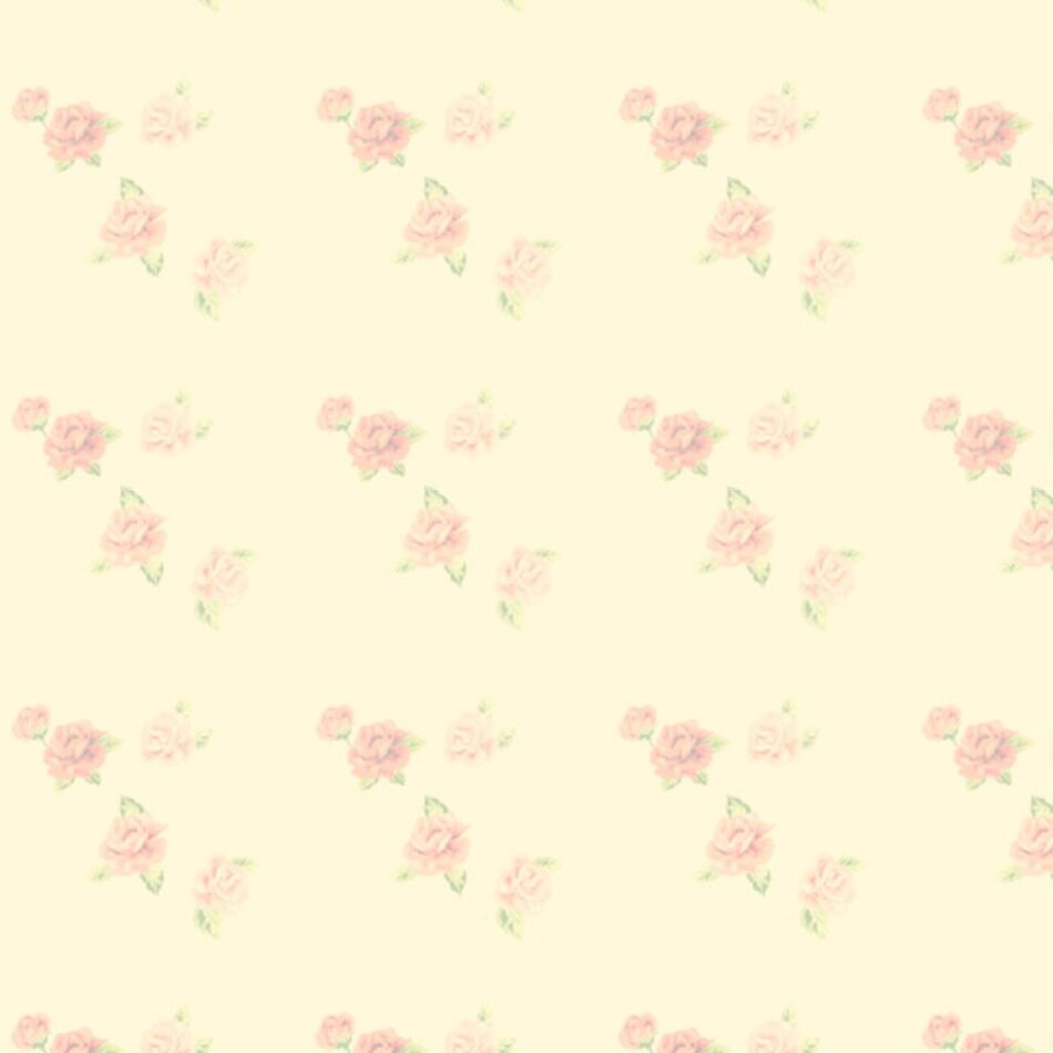 めいこのカバー写真