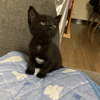 元気いっぱい★でこ君