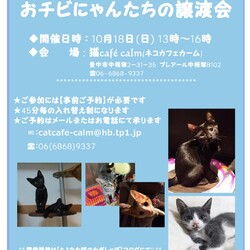 大阪府豊中市 10月1 とよなか猫のかぎしっぽのイベント ペットのおうち 月間利用者150万人