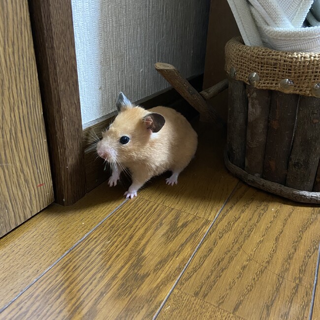 かずとのカバー写真
