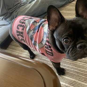 着なくなったTシャツをリメイク①