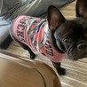 着なくなったTシャツをリメイク①