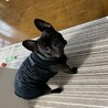 着なくなったTシャツをリメイク②