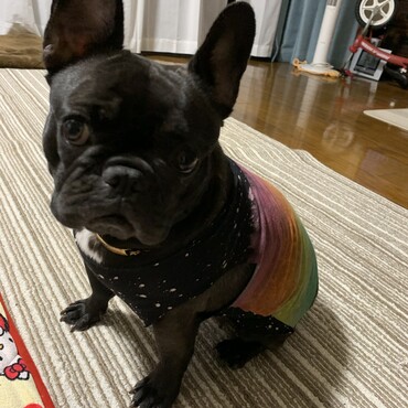 着なくなったTシャツをリメイク③
