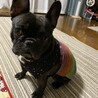 着なくなったTシャツをリメイク③