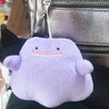ぶぶひこ