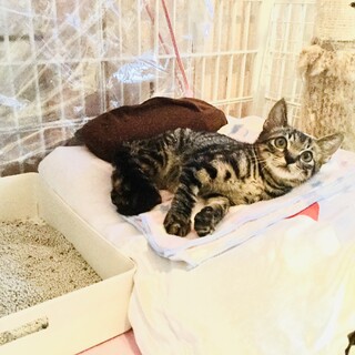 感謝！素晴らしいご縁になりました！