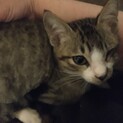 素敵な里親様、ありがとうございました。