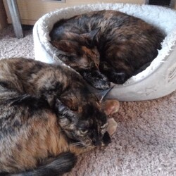 「ブルルルル、今日は寒い！」サムネイル3