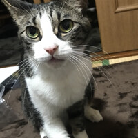 じろう