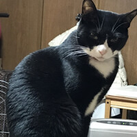 足袋