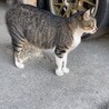 の写真