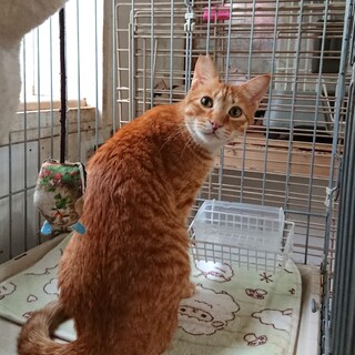 人に興味津々  トランくん