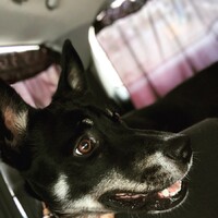 ツム