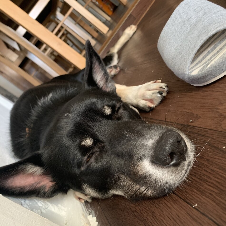 ツムのカバー写真