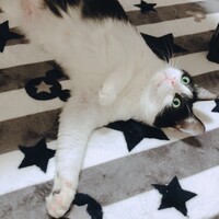 ちぃ