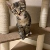 ゆかなっとう