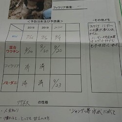 熊本から