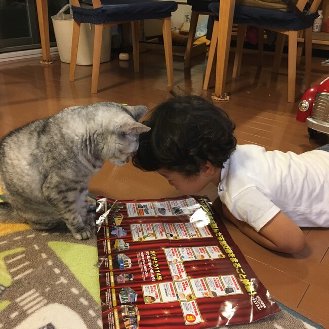 kako418のカバー写真