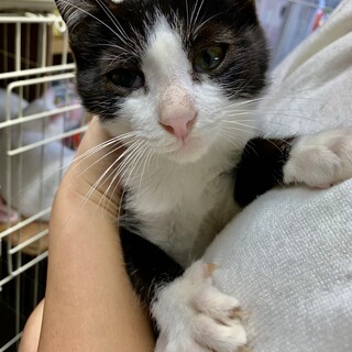里親さま決まりました☆