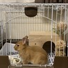 けいすけ565