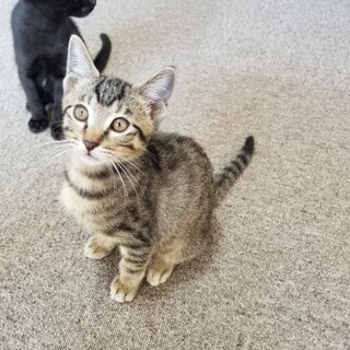 遊び始めたらエンドレスの元気っ子