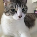 甘えん坊な女の子です。